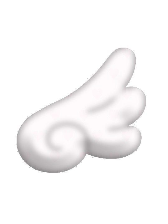 위시돌 대표 이미지