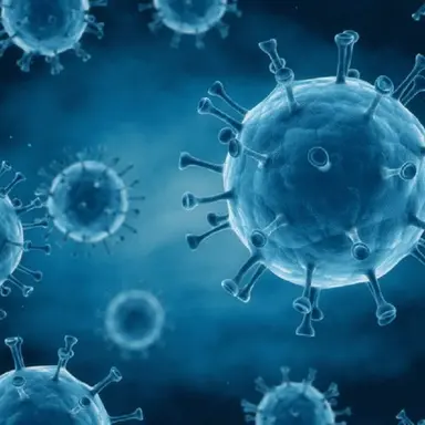 Profile image of 바이러스들