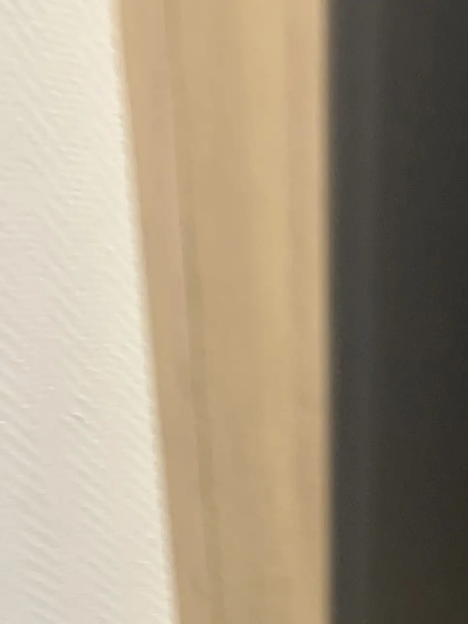 SilkyLemur3945의 警察