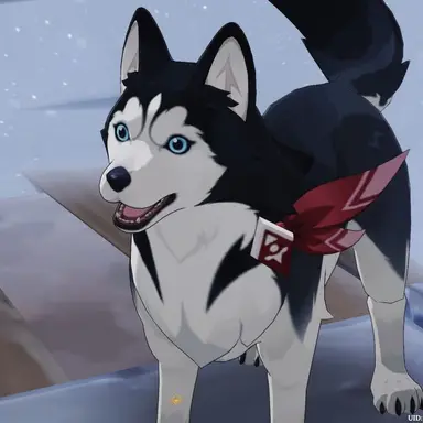 Profile image of Tugarin