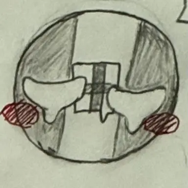 Profile image of イタ王