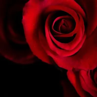 Profile image of 감재이