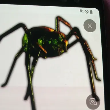 Profile image of 티모시