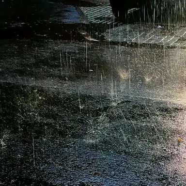 Profile image of 유지민