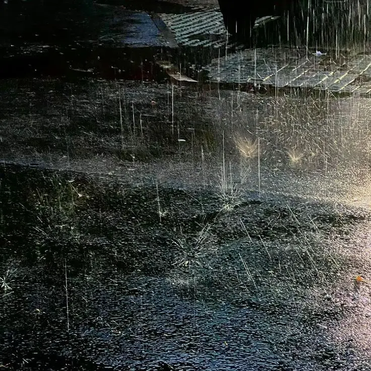 fridayismonday의 유지민