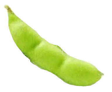 Profile image of The World