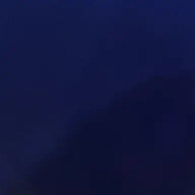 Profile image of 蓮