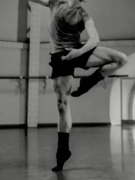 CleanElbow6094의 Ballet boyfriend|MLM/BL