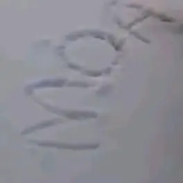 moaooo의 yz