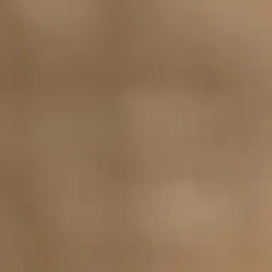 Profile image of 湊