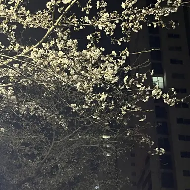 Profile image of 진세훈