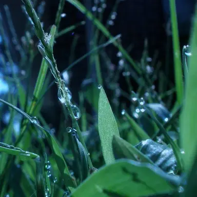 Profile image of 파크모