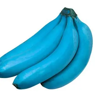 Profile image of 여우맛쿠키