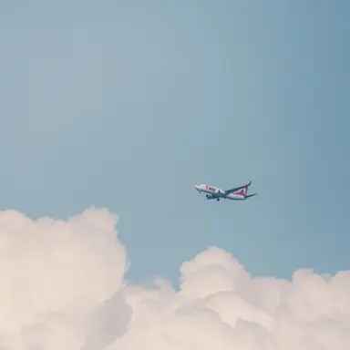 Profile image of 케데헌과 수학 여행