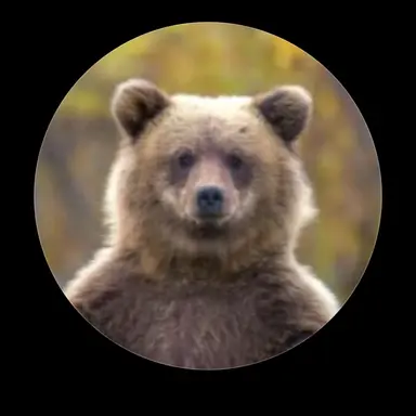 Profile image of 고무고무곰
