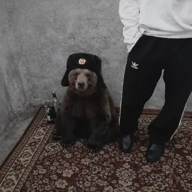 Profile image of 알렉세이 볼코프