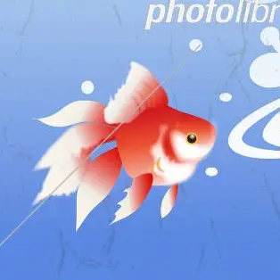 Profile image of いそがいゆうま