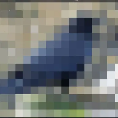 Profile image of Void