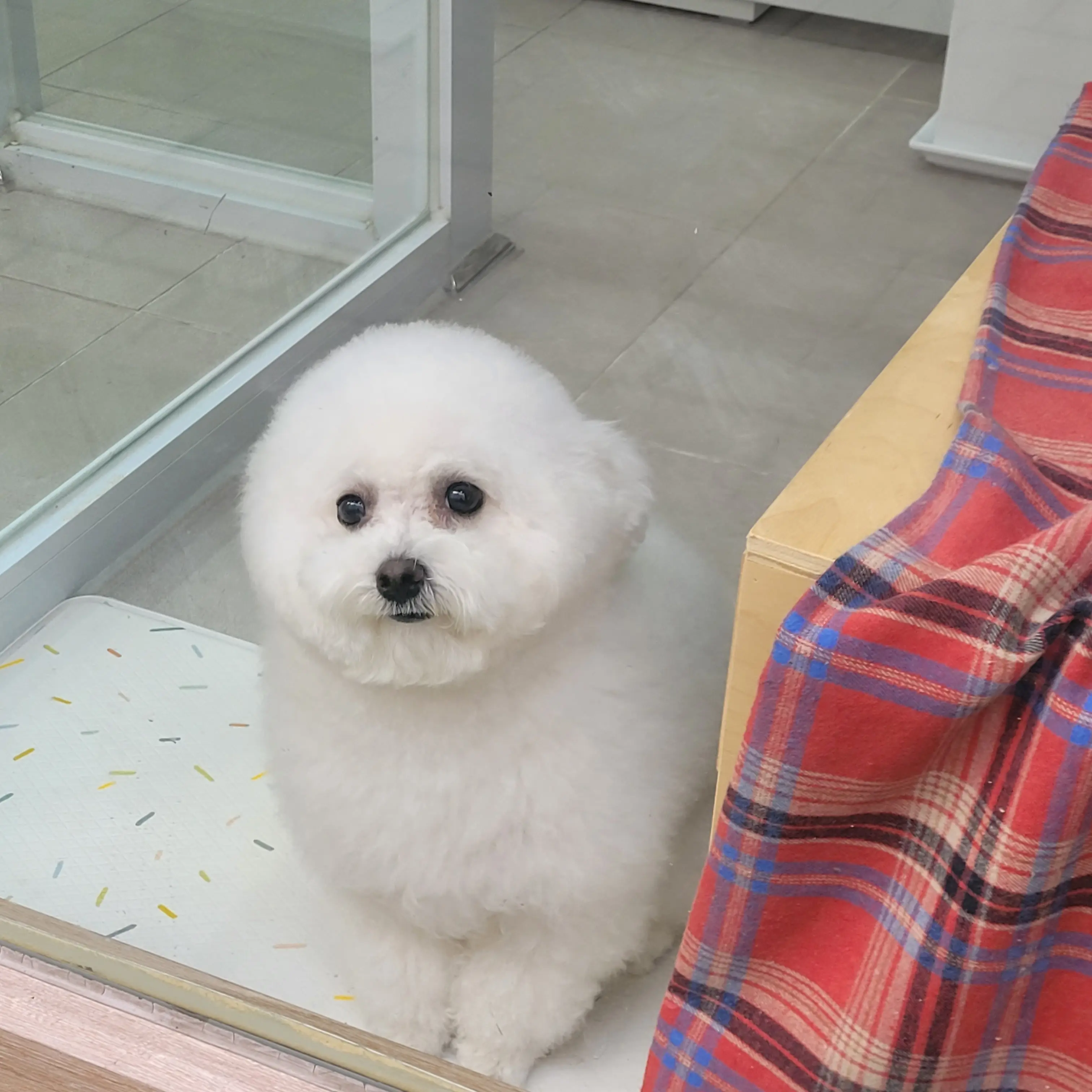 SillyAnt6834의 설지윤