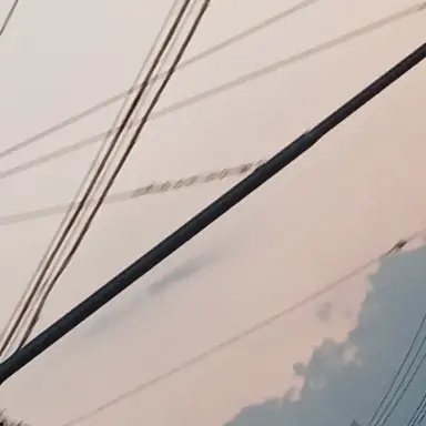 Profile image of 잠뜰