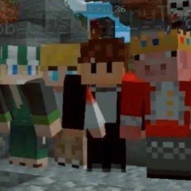 Profile image of DSMP