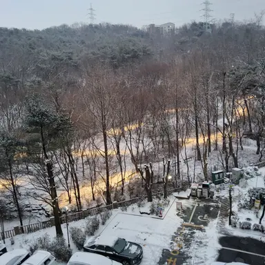 Profile image of 텔레파시 도우미