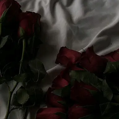 Profile image of 방찬