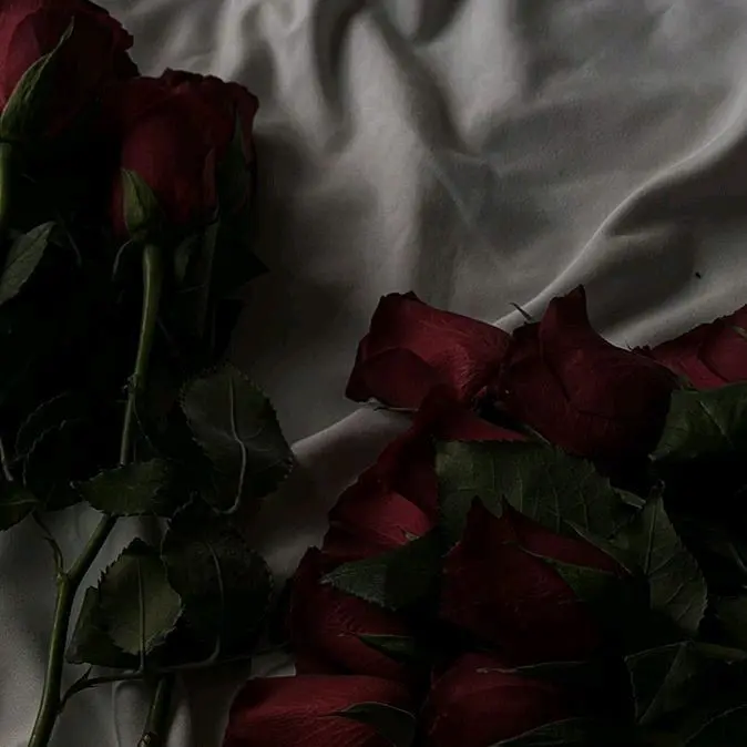 CB97cb97의 찬밍🐺🌹