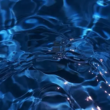 Profile image of 이핑구