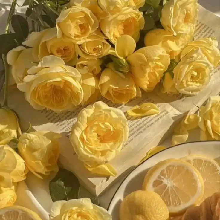 vihi_la의 [OM AIR] 녹화 중입니다!