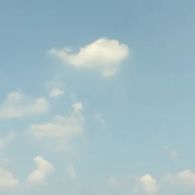 Profile image of 제작자