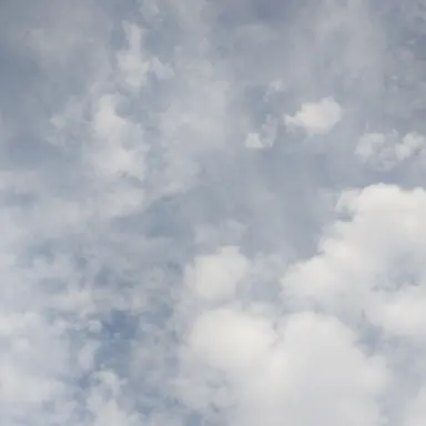 Profile image of 로맨스