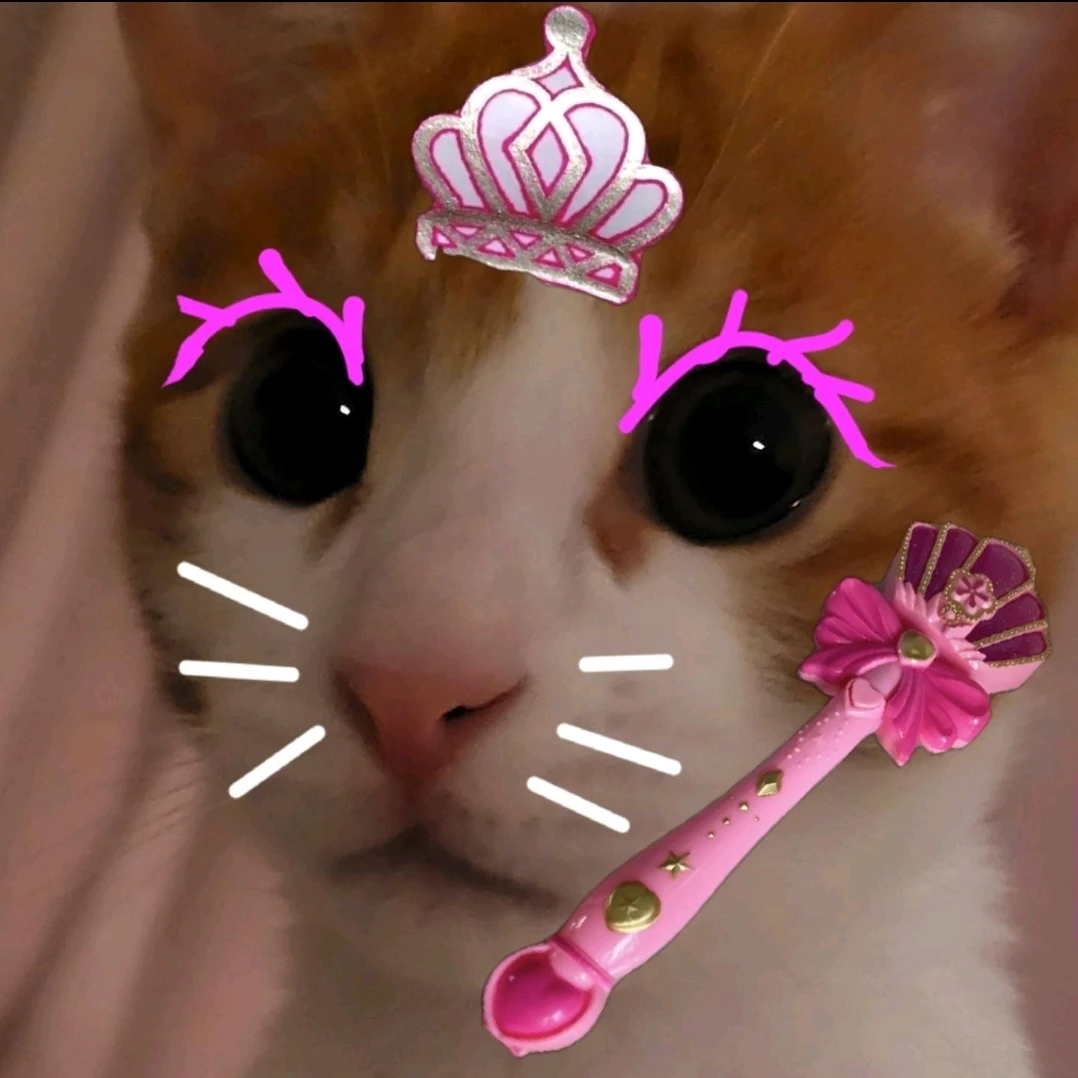 시청자