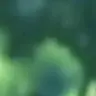 Profile image of ブラジル代表