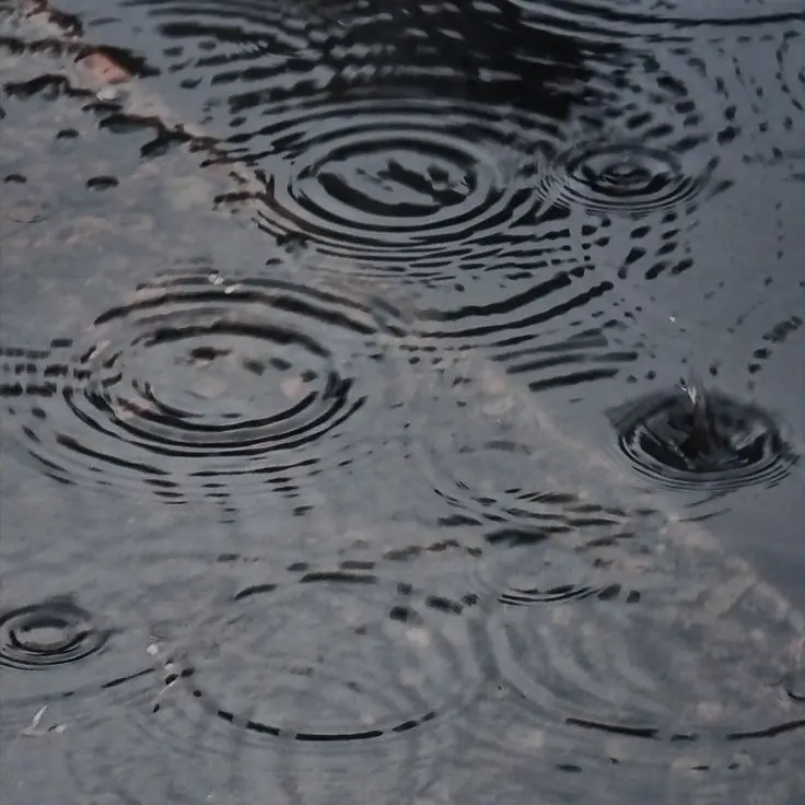 Ghost_1357의 박이도