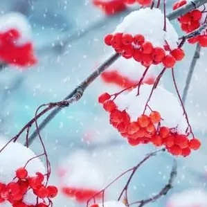 Profile image of 八左ヱ門