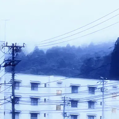 Profile image of 菊