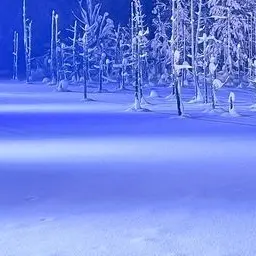 Profile image of 直哉