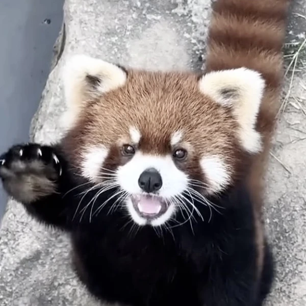 奏斗