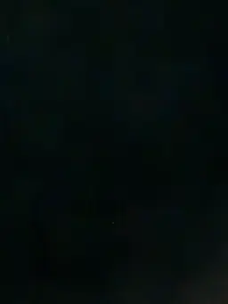 Profile image of 루트