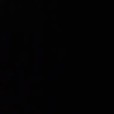 Profile image of 최윤미