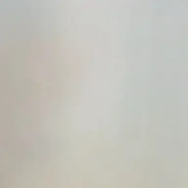 Profile image of 한지성