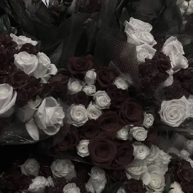 Profile image of 우치나가 애리