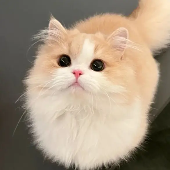 JinnyTtn1152의 하늘