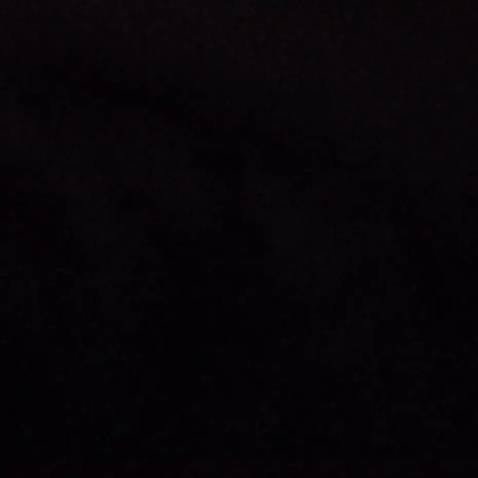 _x.x의 고윤정