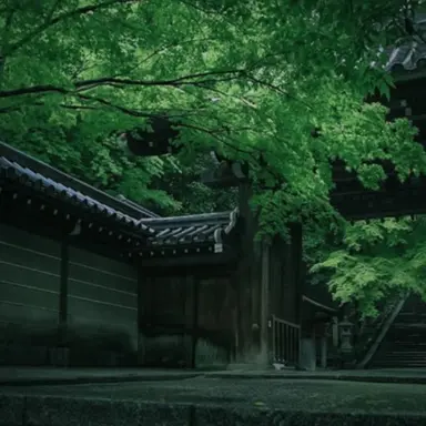 Profile image of 躯倶留隊