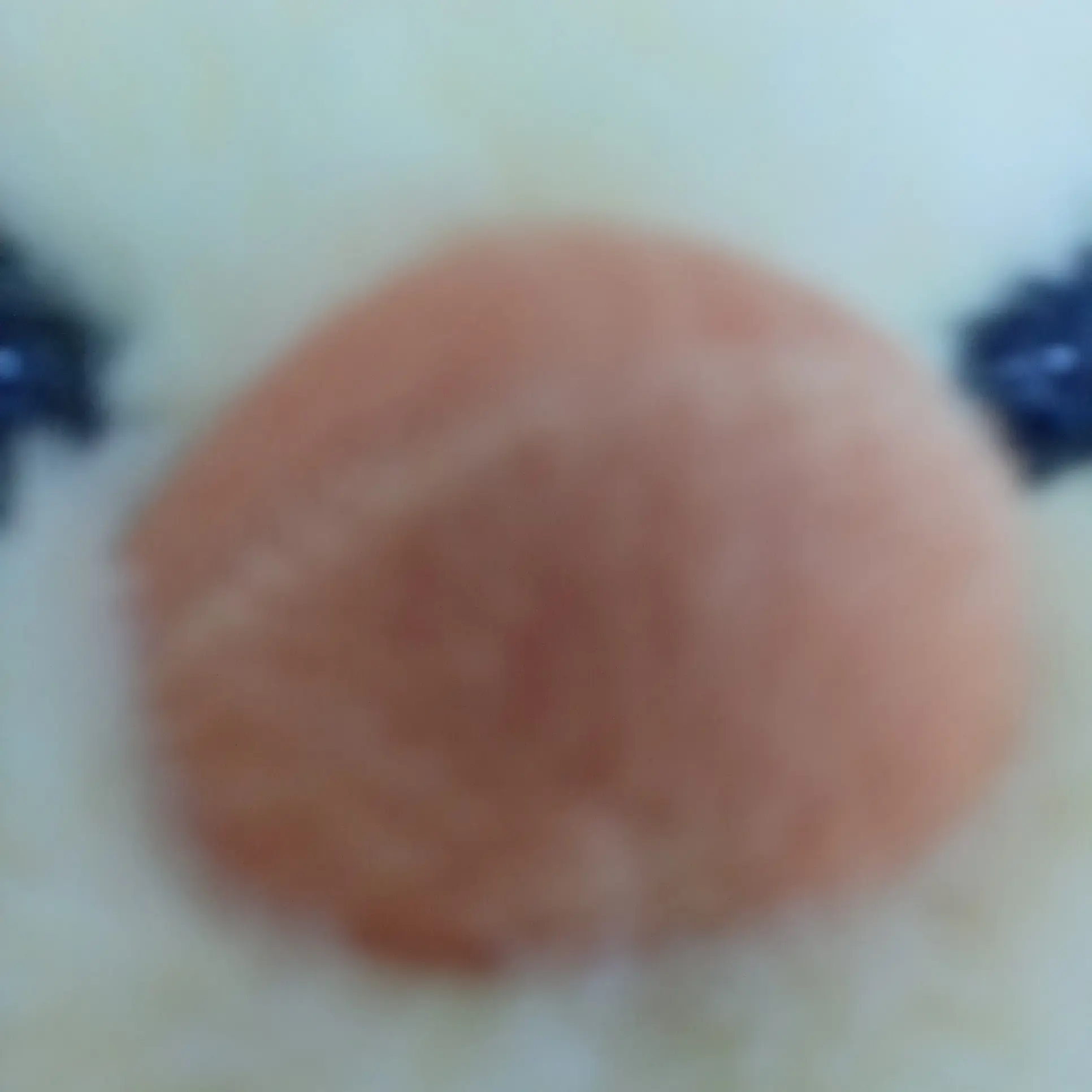 PaleLynx2795의 제작자