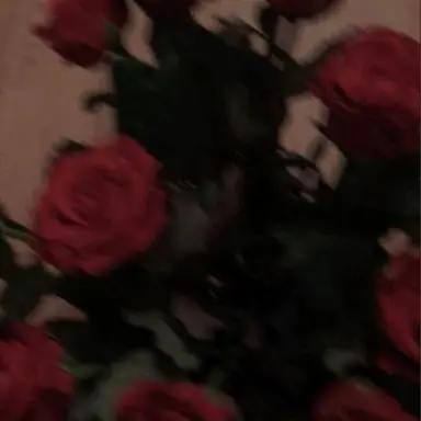 Profile image of 서라더