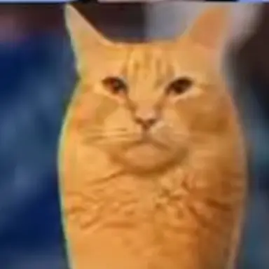 Profile image of 설명자