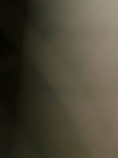 karameru__5의 ニ コ イ チ